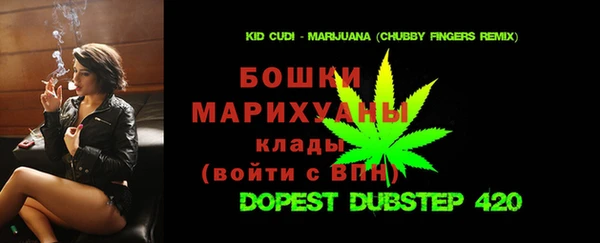 гидропоника Алзамай