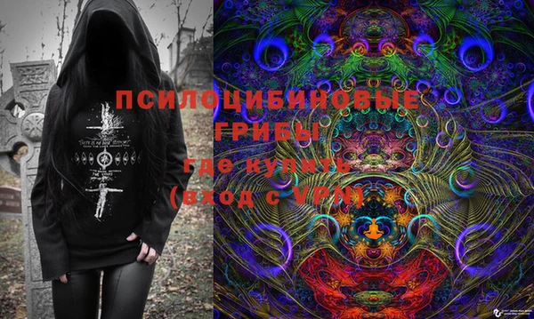 эйфоретик Алексин