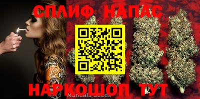 МДМА Новозыбков