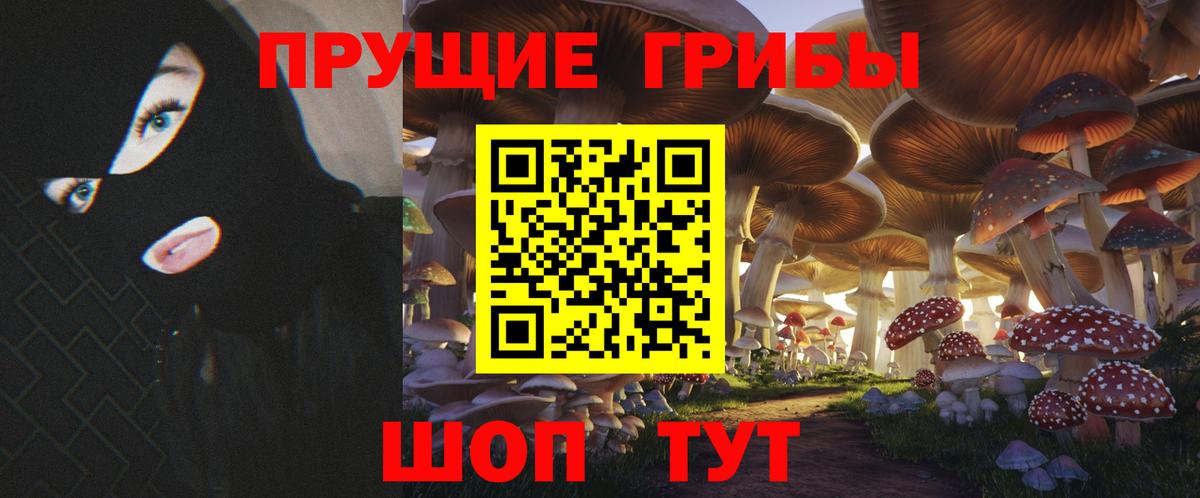 Псилоцибиновые грибы Cubensis  Вход с VPN  Вологда 
